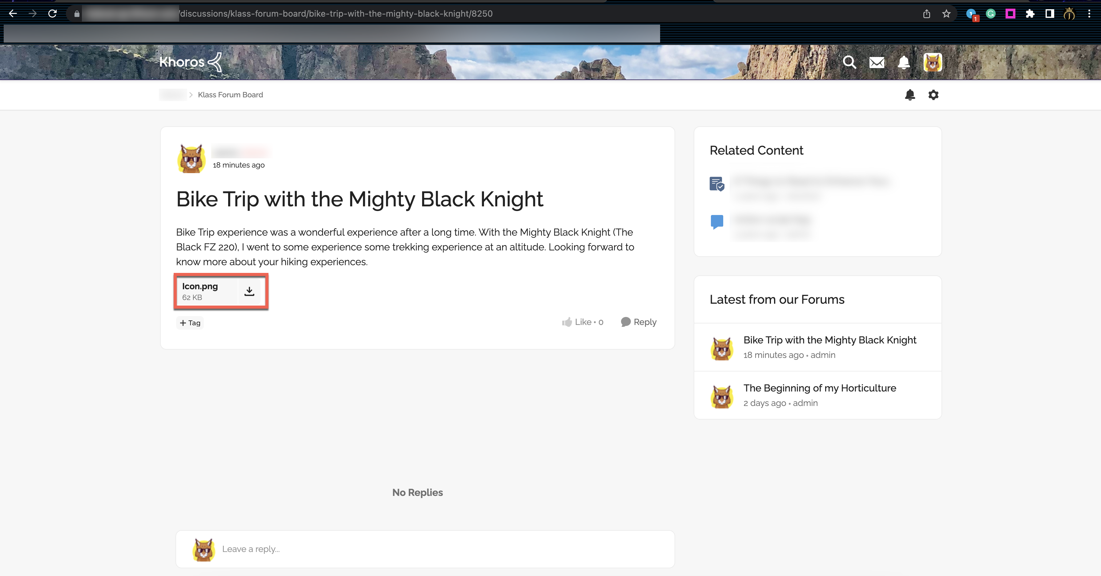 Forum Message with Attachments Verification